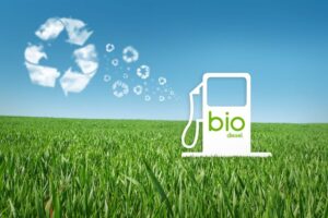 bio based environmental biogas