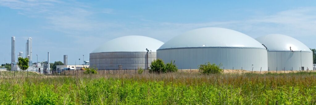 biogas industry