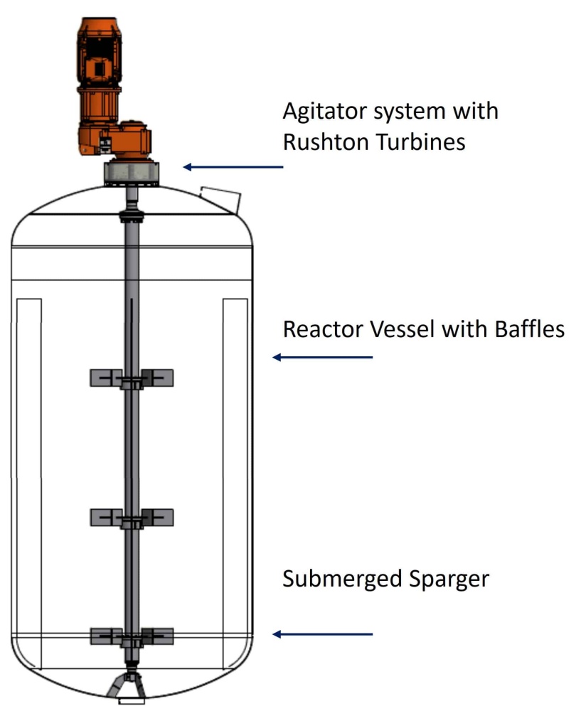 Fermentation Agitator in Reactor vessel